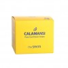     The Saem Calamansi Pore Cool Down Cream 100 -   