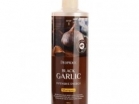         Deoproce Black Garlic Intensive Energy Shampoo 1 . -   