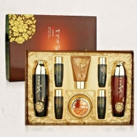          Ye Dam Yun Bit Red Ginseng Jin Yul Skin Care 4 Set -   